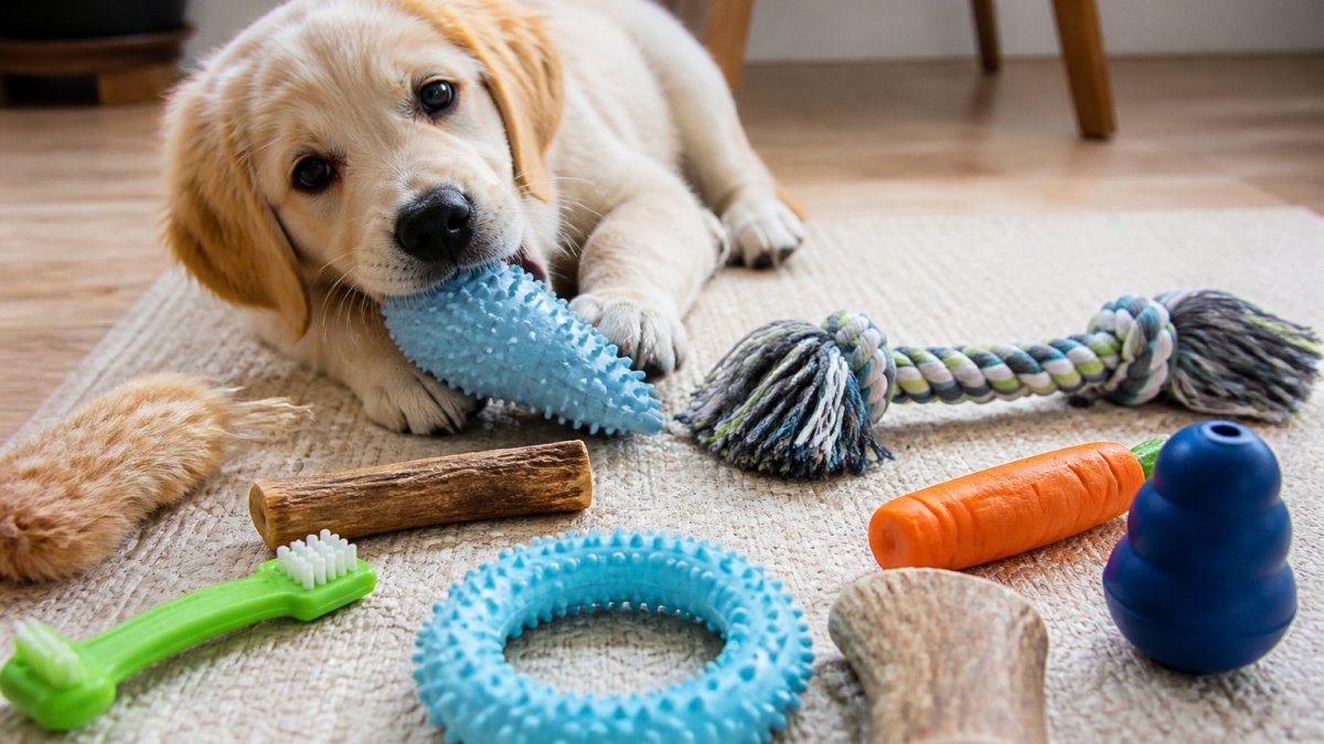 Safe Household Items for Teething Puppies: 9 Picks